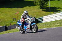Vintage-motorcycle-club;eventdigitalimages;mallory-park;mallory-park-trackday-photographs;no-limits-trackdays;peter-wileman-photography;trackday-digital-images;trackday-photos;vmcc-festival-1000-bikes-photographs